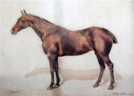 Frank Paton (1856-1909) Portrait of a horse, Daisy 9 x 12.5in.